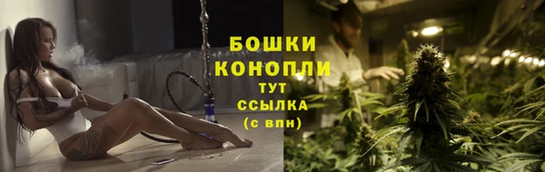 СК Бронницы
