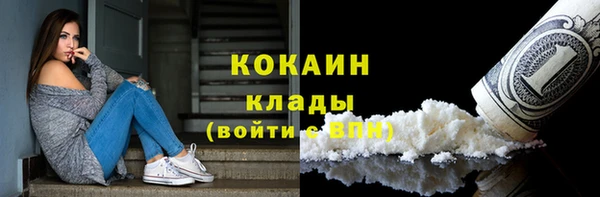 крисы Богородицк