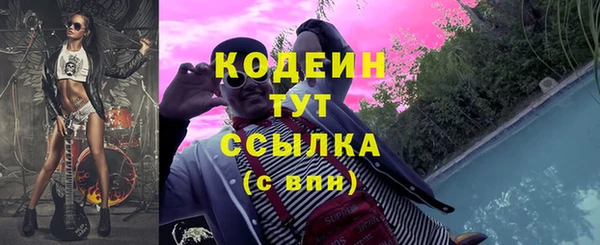 крисы Богородицк