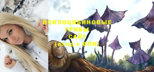 круглые Бородино