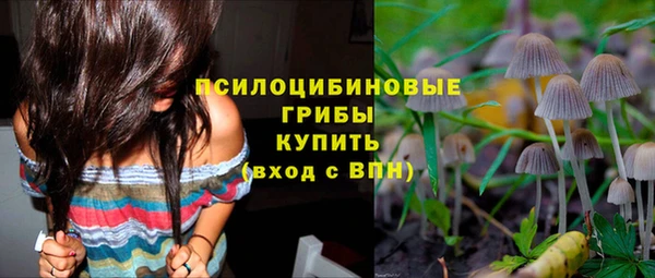 СК Бронницы