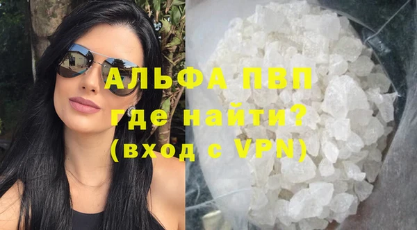 СК Бронницы
