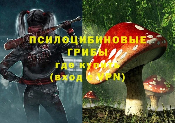 крисы Богородицк